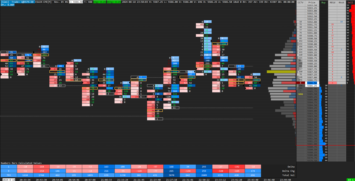 Unfinished Business Footprint + Delta Stats & Profile + DOM - Sierra Chart Template